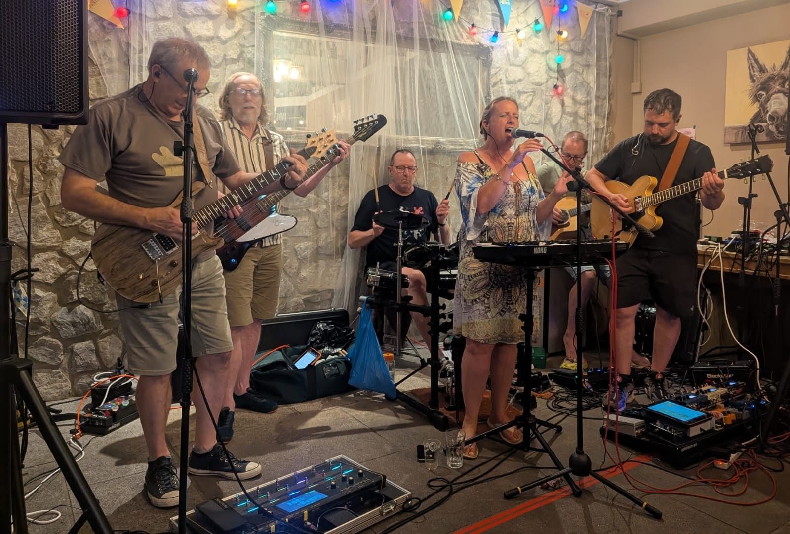 The Elderberries perform at the 2026 Leigh Folk Festival